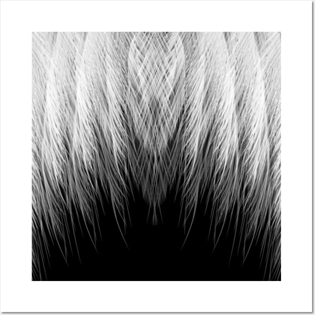 feather Wall Art by talisma